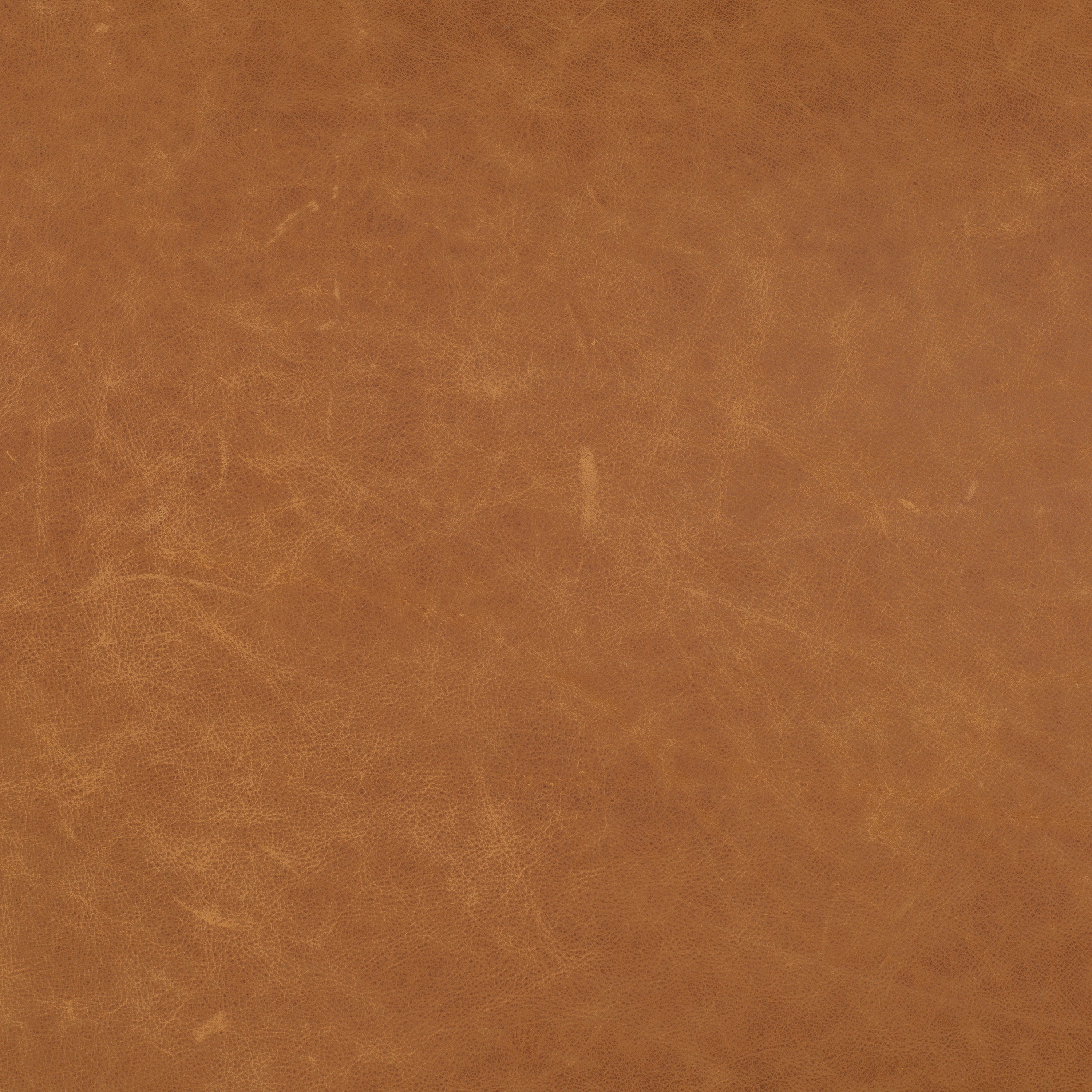 Lit avec Coussins en Cuir | Cognac Tanné | Grand Lit